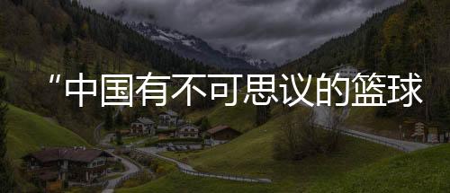 “中国有不可思议的篮球文化”——专访NBA球星东契奇、塔图姆