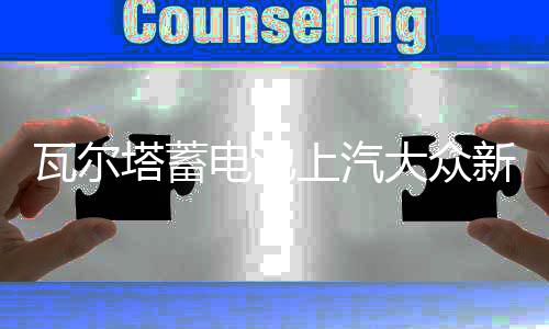 瓦尔塔蓄电池上汽大众新桑塔纳POLO朗境途安朗行1.6L原装60AH电瓶
