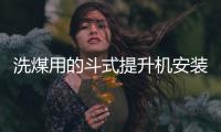 洗煤用的斗式提升机安装