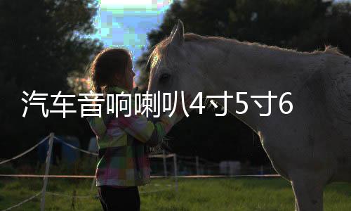 汽车音响喇叭4寸5寸6寸6.5寸同轴汽车喇叭改装全频高中重低音喇叭