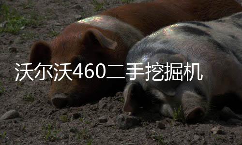 黑龙江宏晟二手封胶线转让「多图」