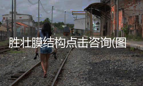 太原小区路灯厂家报价