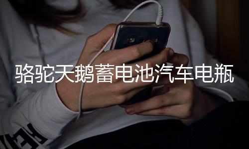 骆驼天鹅蓄电池汽车电瓶12V60AH55D26L马自达6凯美瑞汉兰达海马S6