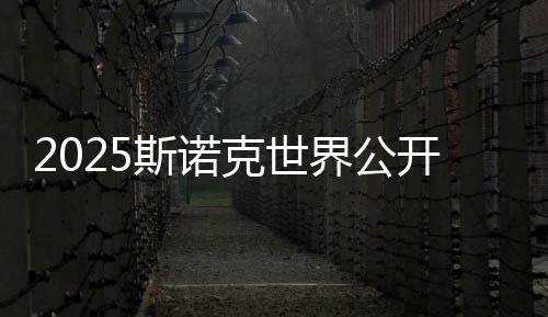 2025斯诺克世界公开赛:丁俊晖轻松晋级 塞尔比爆冷出局